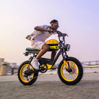 HappyRun G100 Electric Bike with 2000W Dual Battery Long Range